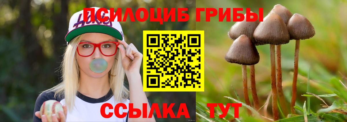 магазин продажи   Вход с VPN  Ярославль  Галлюциногенные грибы MAGIC MUSHROOMS 